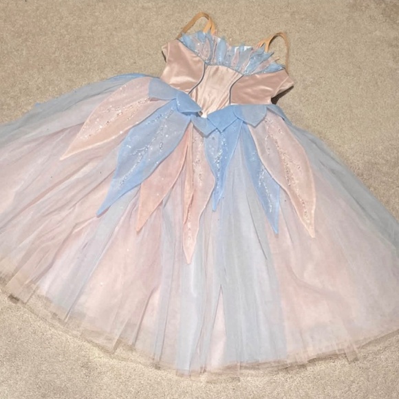Dresses & Skirts - Swan Lake Barbie Odette Ballet Costume